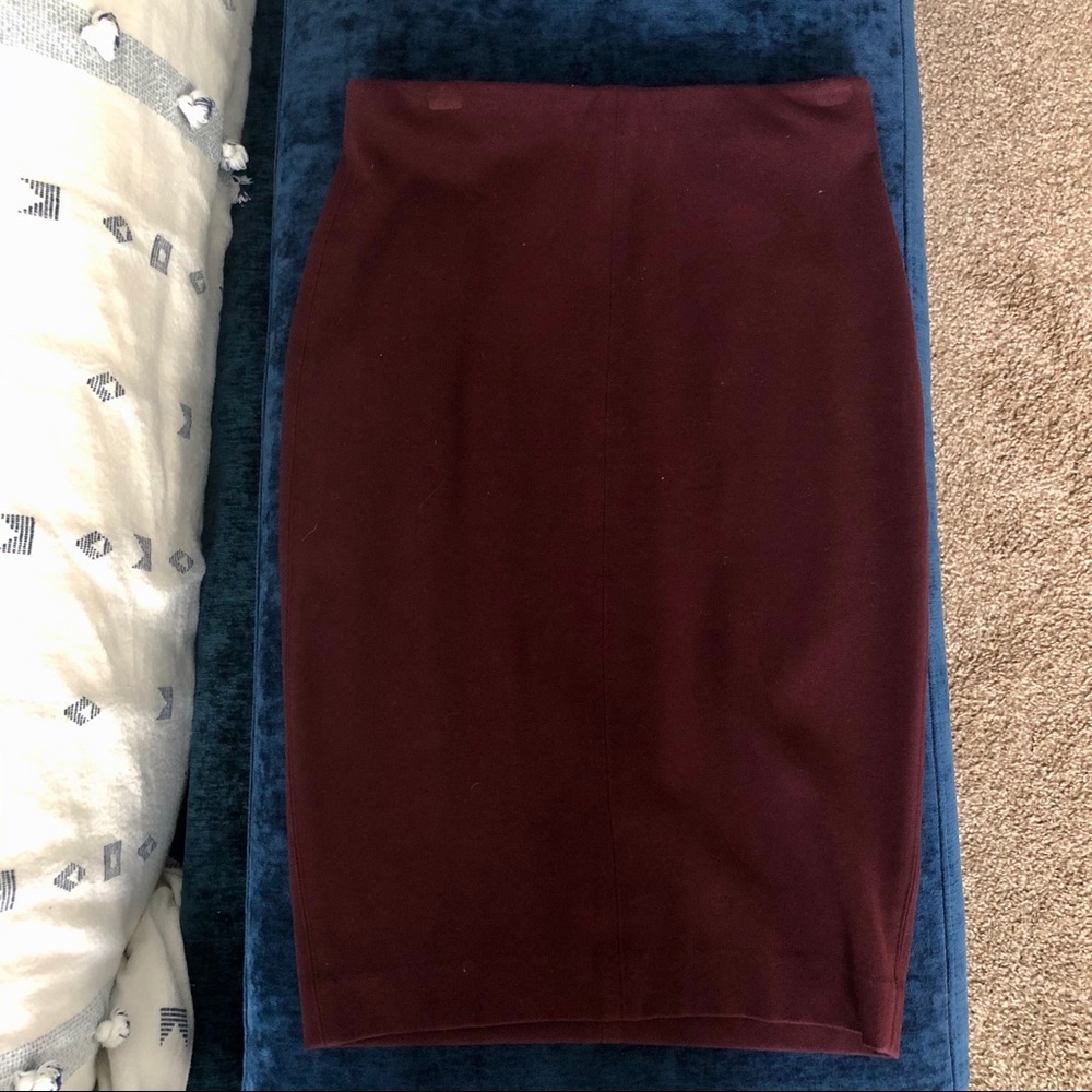 Aritzia Pencil Skirt